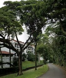 Tanglin Road (D10), Detached #556201791